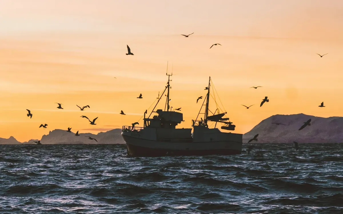 Vissersboot met meeuwen tegen een oranje avondlucht en bergen